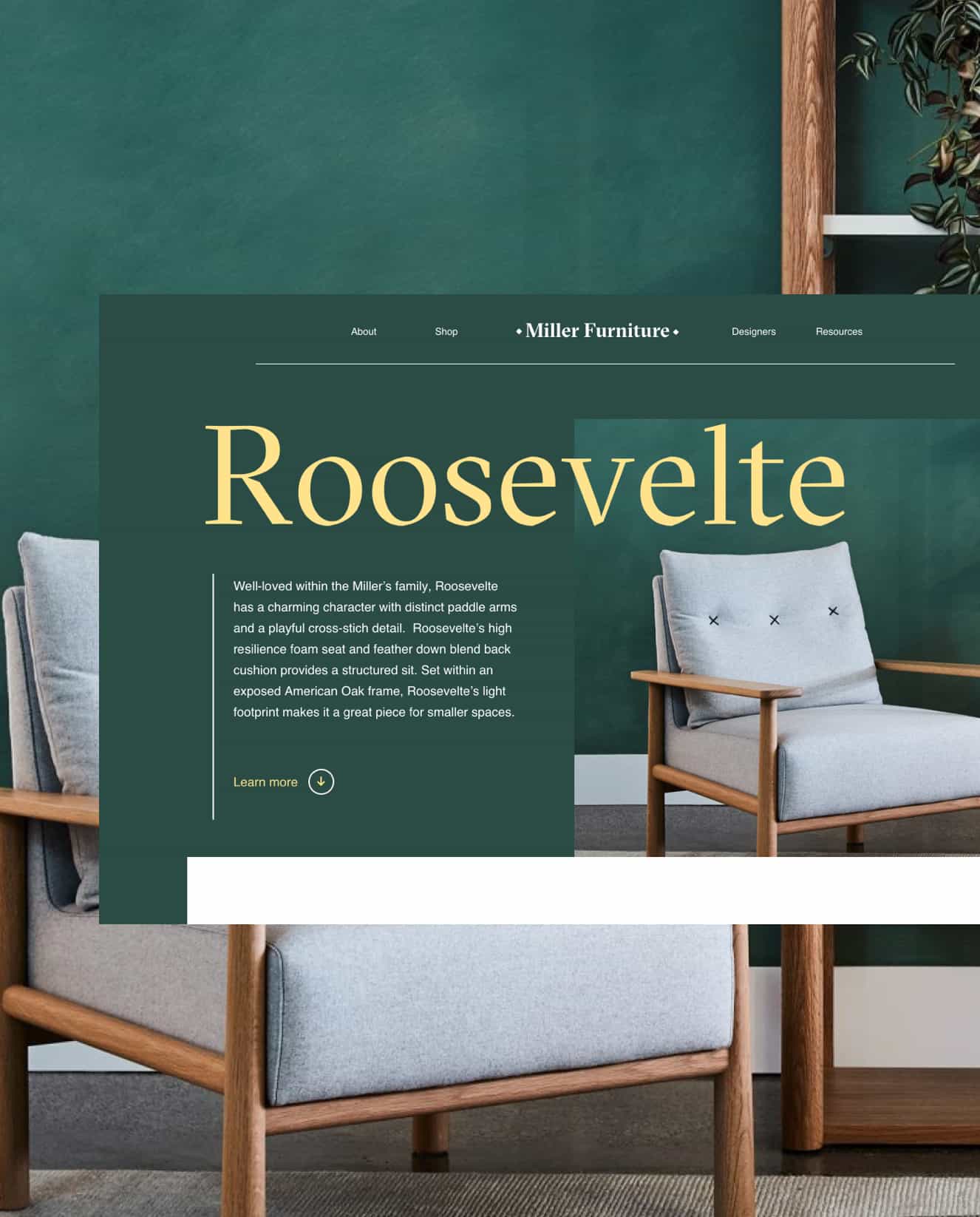 Furniture website banner concept